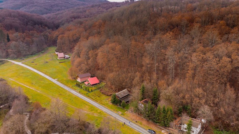 Casă de vacanța în Rădești jud.Arad - Poză 4