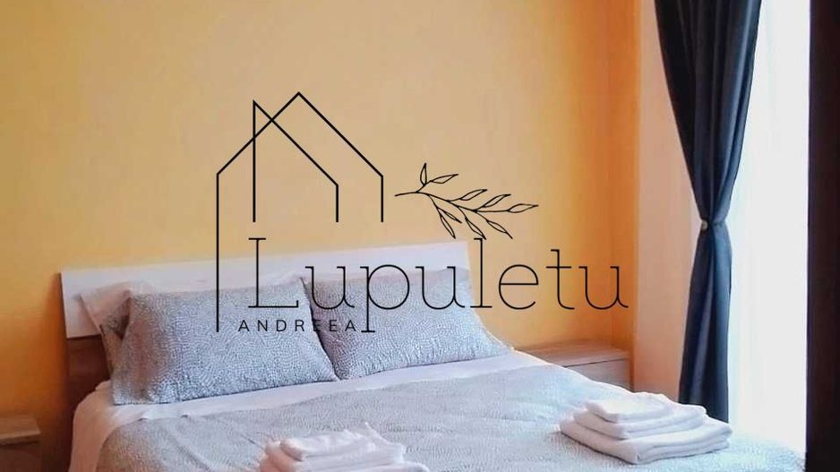 Apartament de Inchiriat | 36 MPU | Turnișor | Bloc cu lift - Poză 4