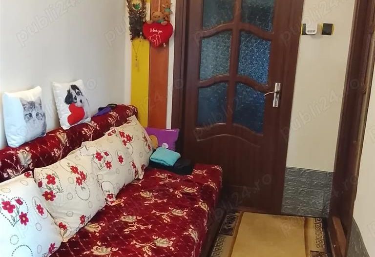 Apartament 1 camera Biziasului - Poză 4