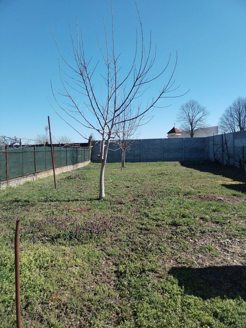 BRASADAS vinde casa cu etaj in zona Paulestiului. - Poză 8