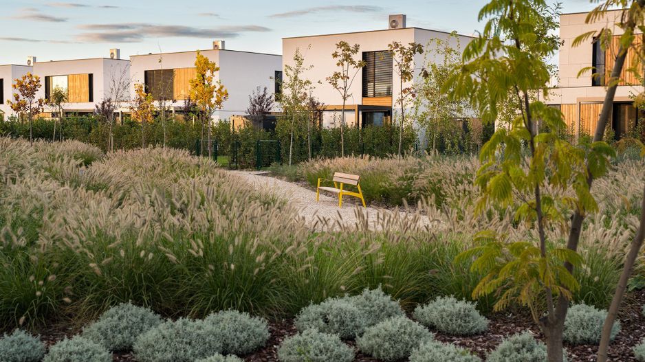 Vila 6 camere in Amber Forest - Poză 4