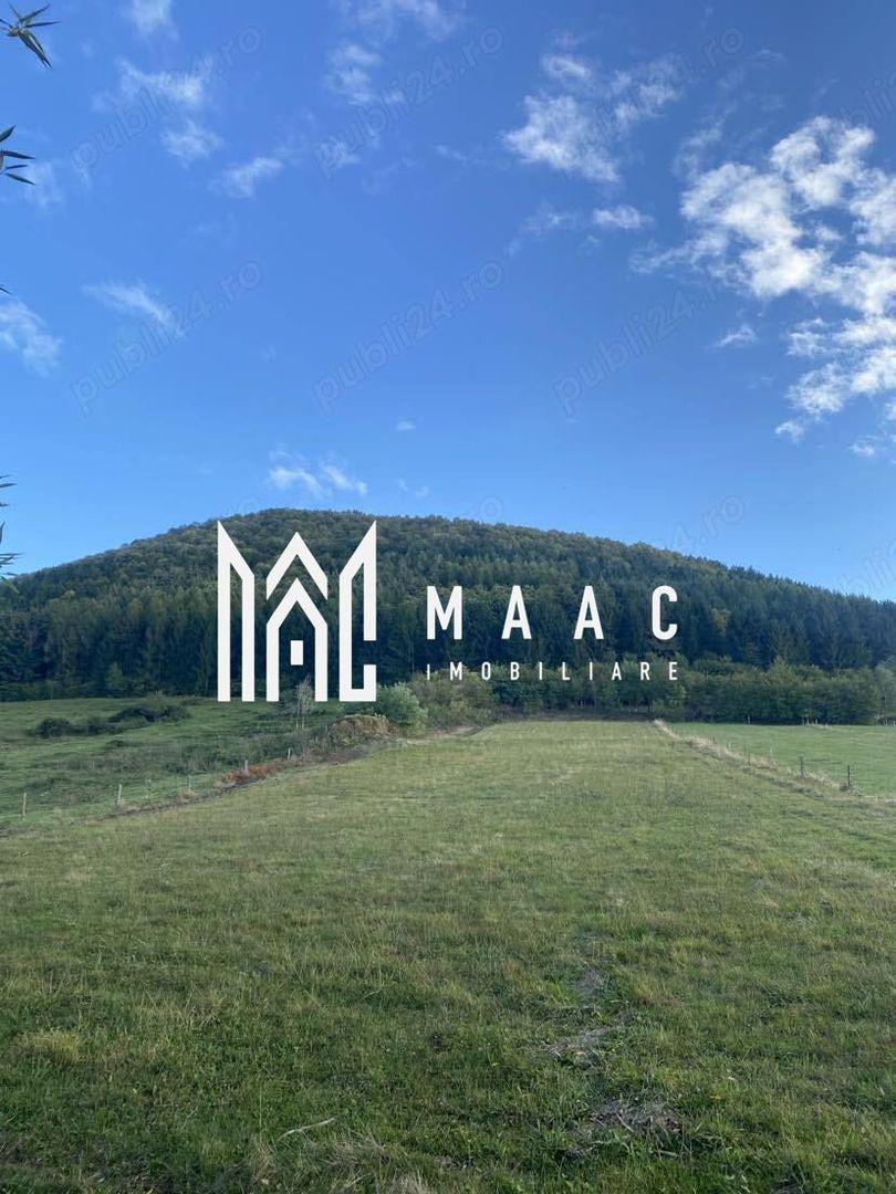 Teren Intravilan I 4129 MP I Gura Raului - Poză 3