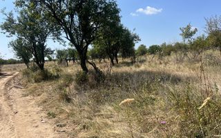 Teren intravilan 5744 mp Mosoaia-Prunilor - Poză 2