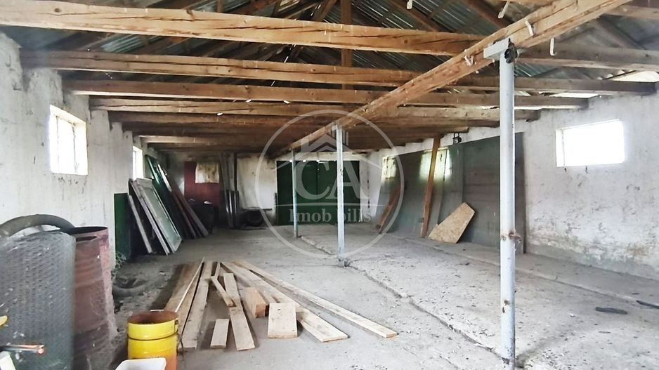 Hala de inchiriat in zona Tarian, Bihor - Poză 4