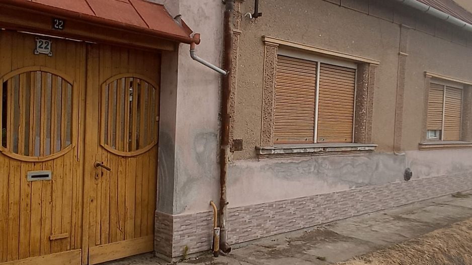 Casă de vânzare cu teren generos în Valea lui Mihai - Poză 2