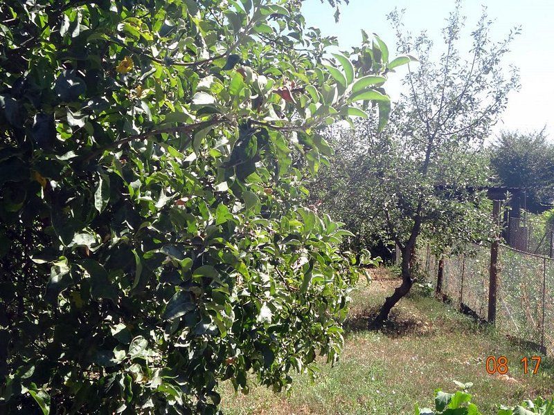 De vanzare  - casa cu 4 camere,  900 mp teren  - str. Razboieni. - Poză 2