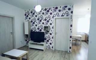 Apartament de 3 camere, 66 mp, curte, parcare, zona Muzeul Apei - Poză 5