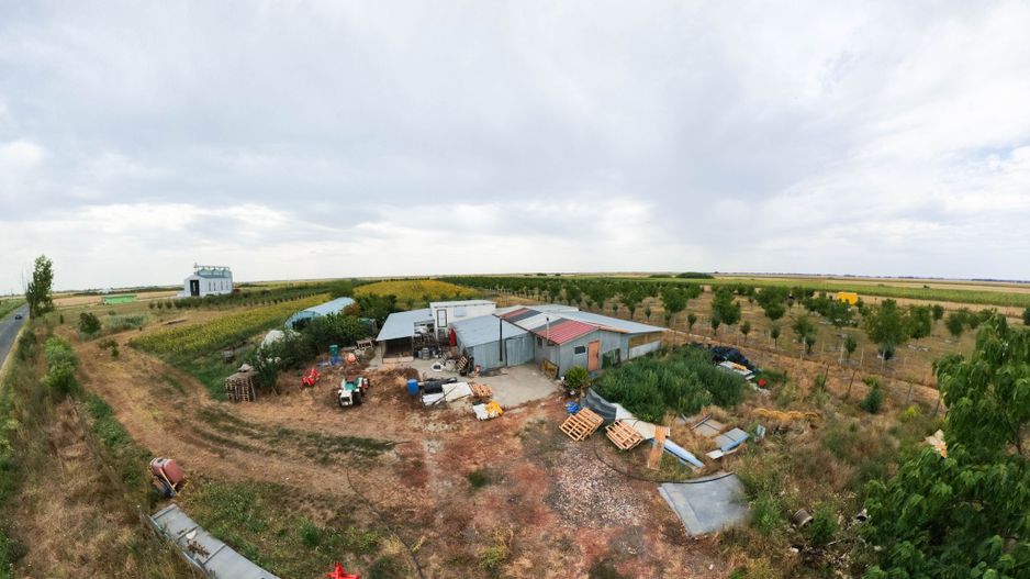 Livadă de 3,6 hectare în Iratoșu – Oportunitate - Poză 7