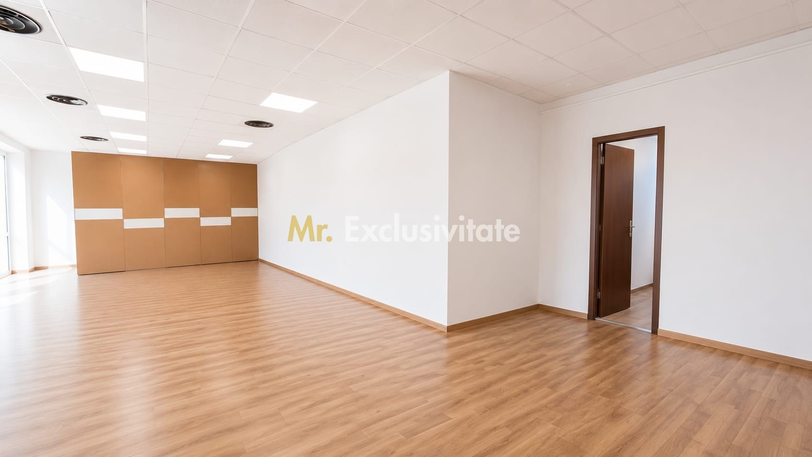 Inchiriere spațiu comercial 133 mp Ultracentral -Tășnad Jud. Satu Mare - Poză 8