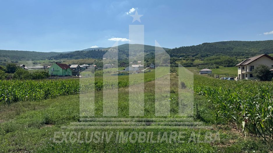 Teren intravilan de vanzare, Alba-Micesti - Poză 3