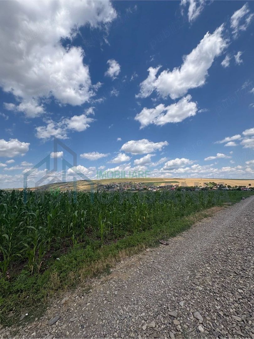Teren Intravilan de Vanzare in Letcani, Judetul Iasi - 3.684 mp - Poză 2