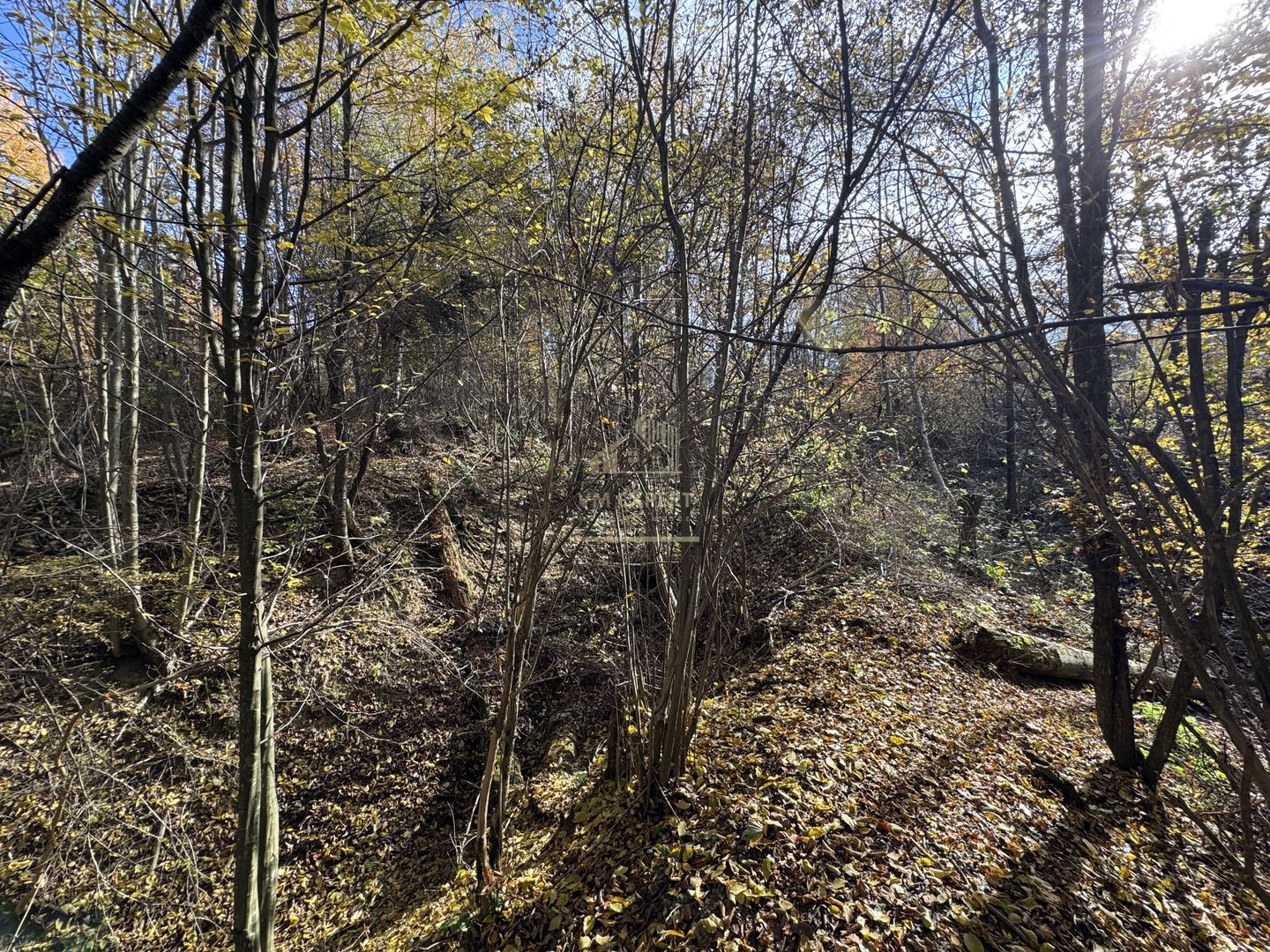 TEREN INTRAVILAN 13167 MP BUGHEA DE SUS ARGES - Poză 19