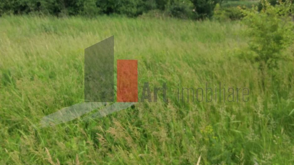 Teren Buftea cu iesire la lac - Poză 31