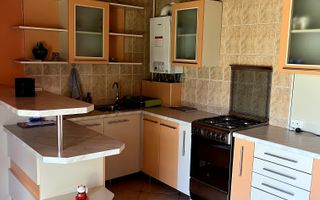 De vanzare sau de inchiriat casa individuala in cart Dambu Pietros - Poză 2