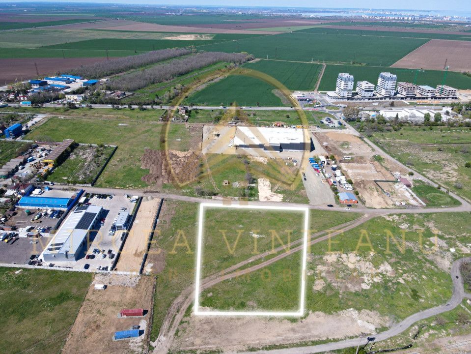 Palas /Vaporaș / Dacia - Renault - Teren intravilan 4100 mp cu deschidere 41 ml. - Poză 2