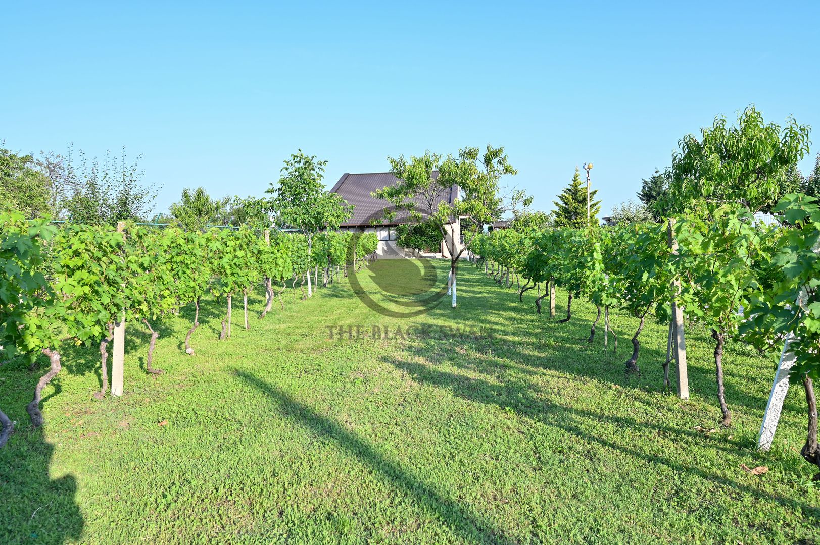 Casa cu piscina de vanzare | 3.300 mp teren | Urlati - Prahova - Poză 21
