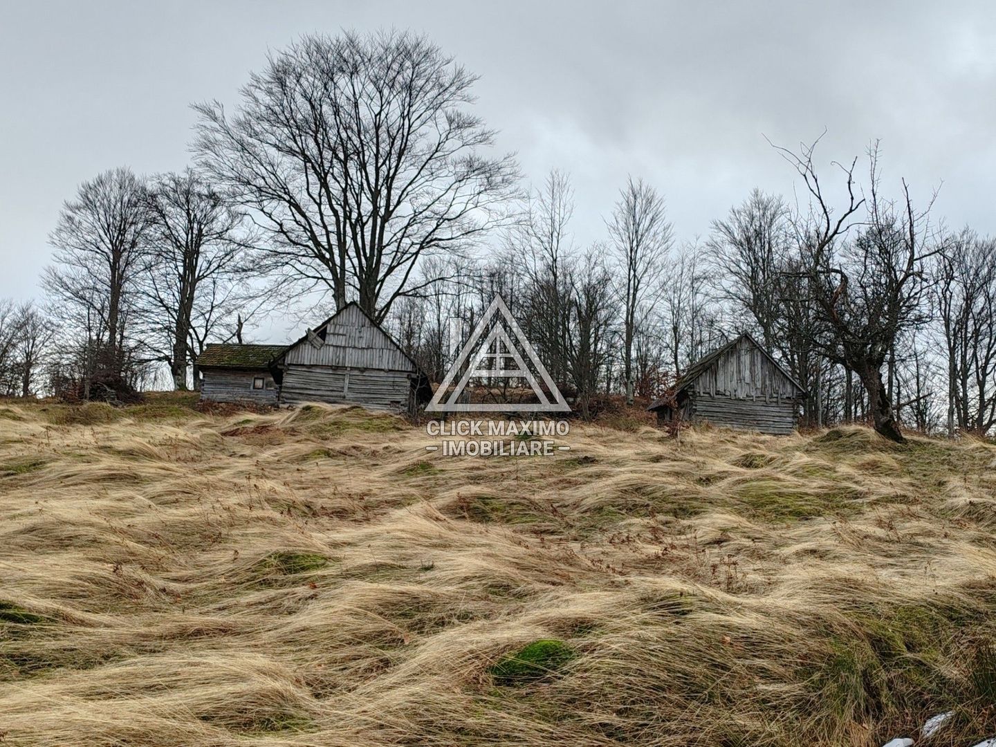 19.5 Hectare în Zona Turistică Montană – Bulz, Bihor - Poză 4