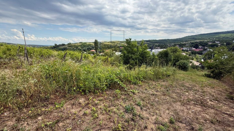 Teren in Goruni comuna Tomesti 12 km de rond Podu Ros - Poză 6