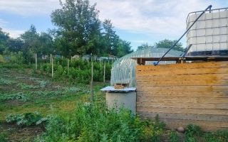 Teren intravilan de 1550 mp în localitatea Buznea, strada Corneliu Coposu - Poză 1