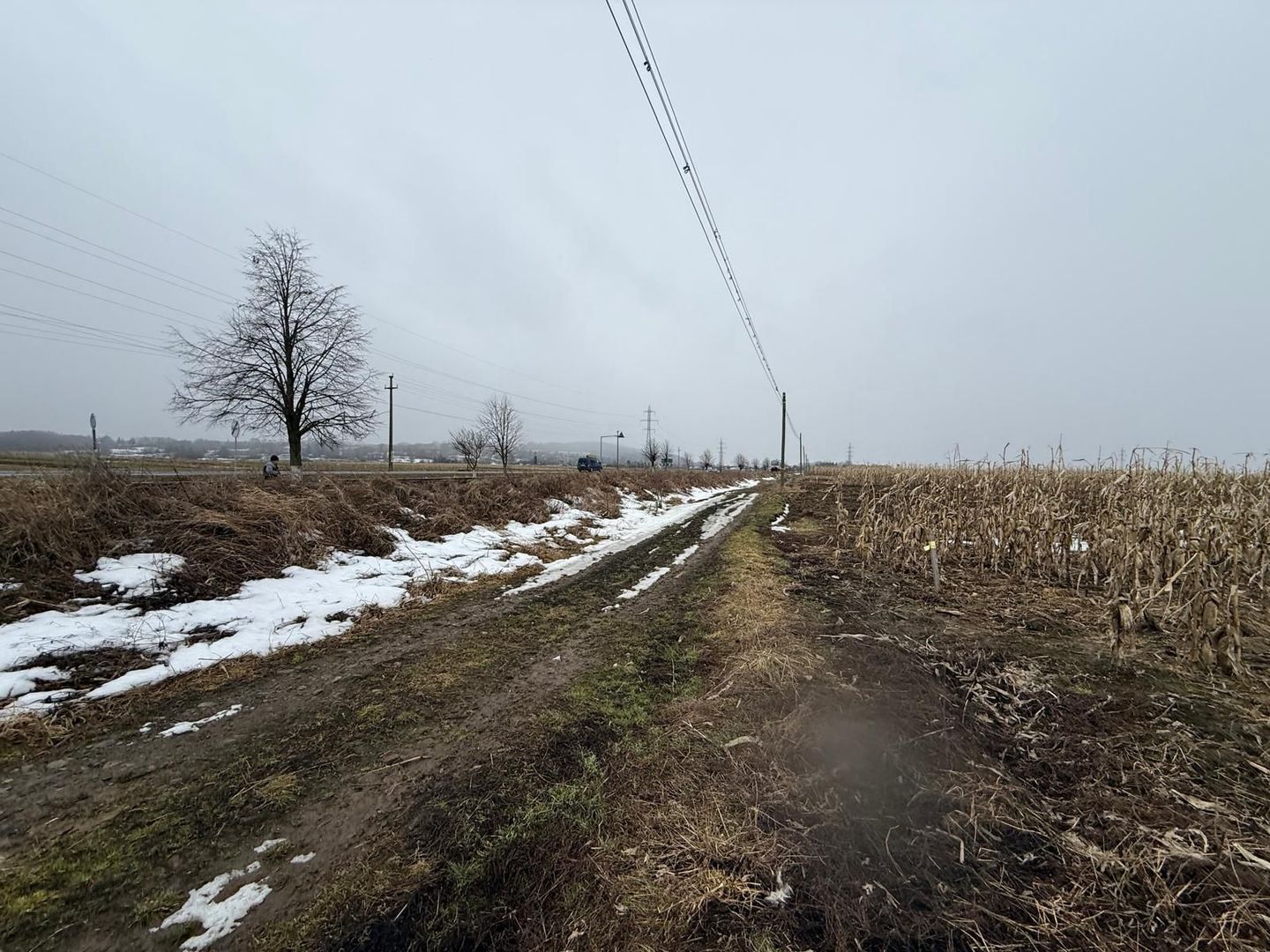 Teren extravilan | Gălănești | 7.276 mp | Front 29 m - Poză 1