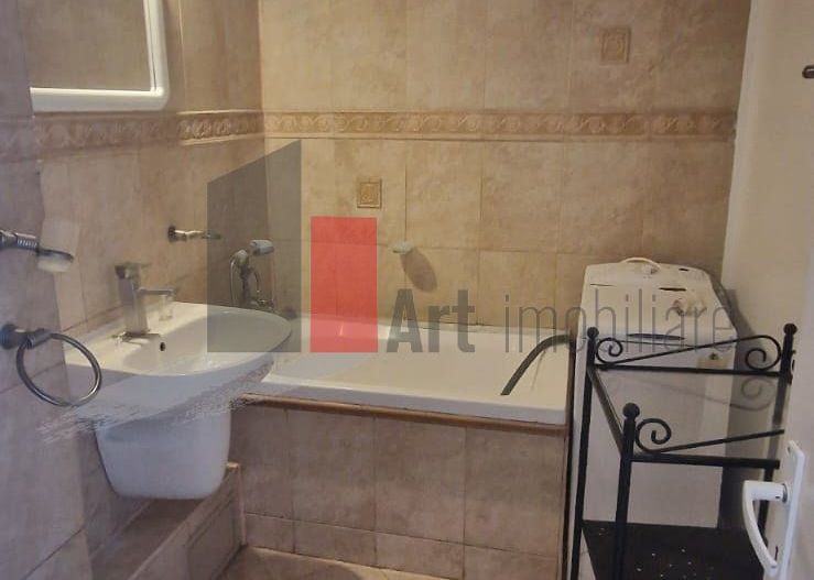 APARTAMENT  2 CAMERE -  MOSILOR , ZECE MESE - Poză 17