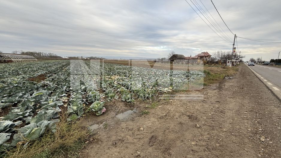 Teren 9.000 mp | Milișăuți | Intravilan | Front 38 m | 149.000 € - Poză 3