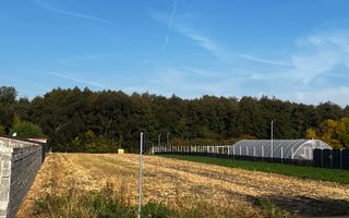 De vanzare 2 terenuri intravilane in Santau Mic – 1.000 mp fiecare - Poză 1