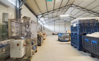 Hală de producție cu spații de birouri - Poză 3