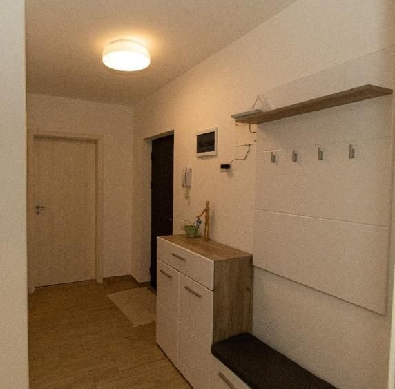 Apartament 2 Camere Theodor Pallady / Parcare - Poză 11