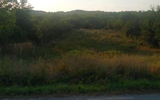 Teren 5500 mp-oportunitate investitie-pretabil cabana-Jelna - Poză 5