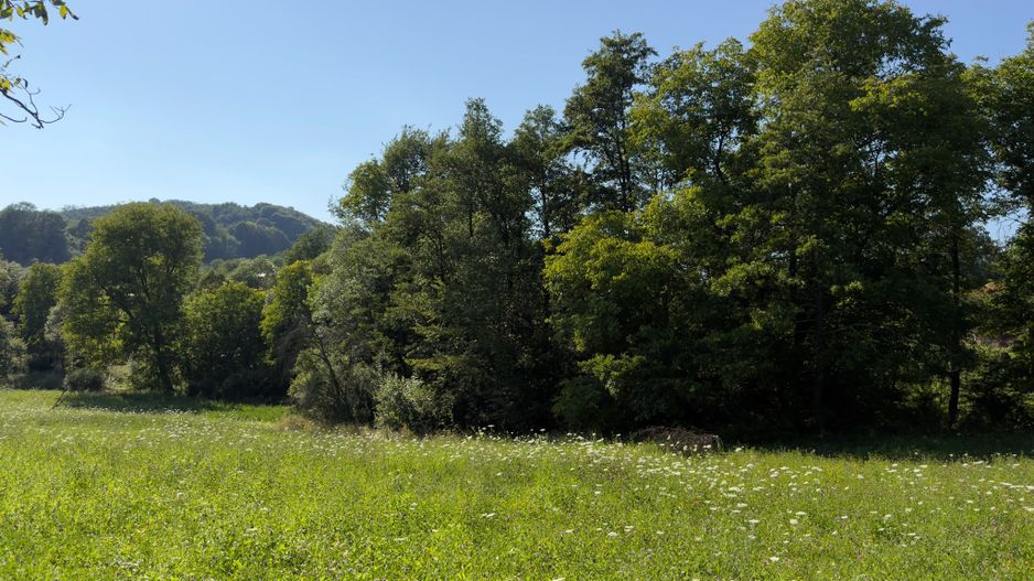 Teren Parau | Valea Danului, Curtea de Arges | Vidraru | - Poză 8