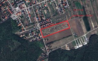 Oportunitate Corbeanca | 51.772 mp | deschidere 142 mp | utilitati - Poză 1