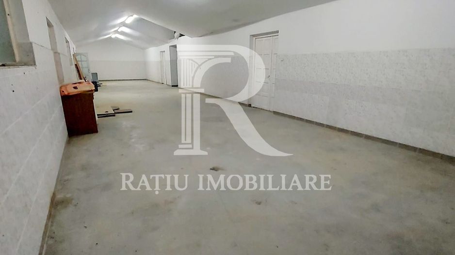 Hala Constructie Caramida | Ineu | Bihor - Poză 2