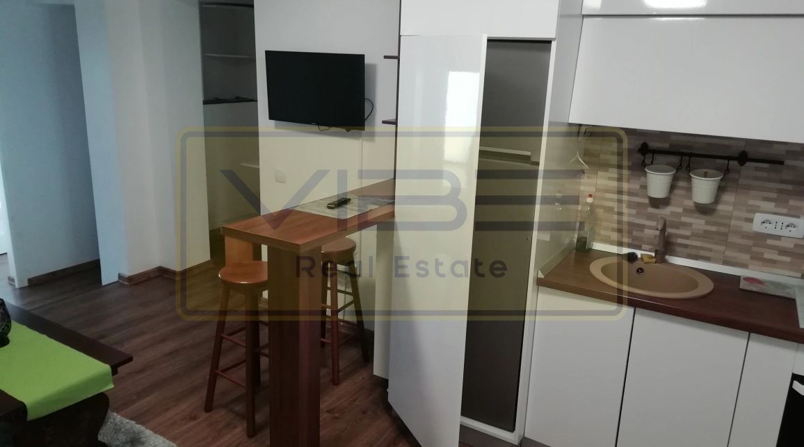 Popas Pacurari- Casa Auto Dacia - Apartament 1 camera - Parcare privata - Poză 5