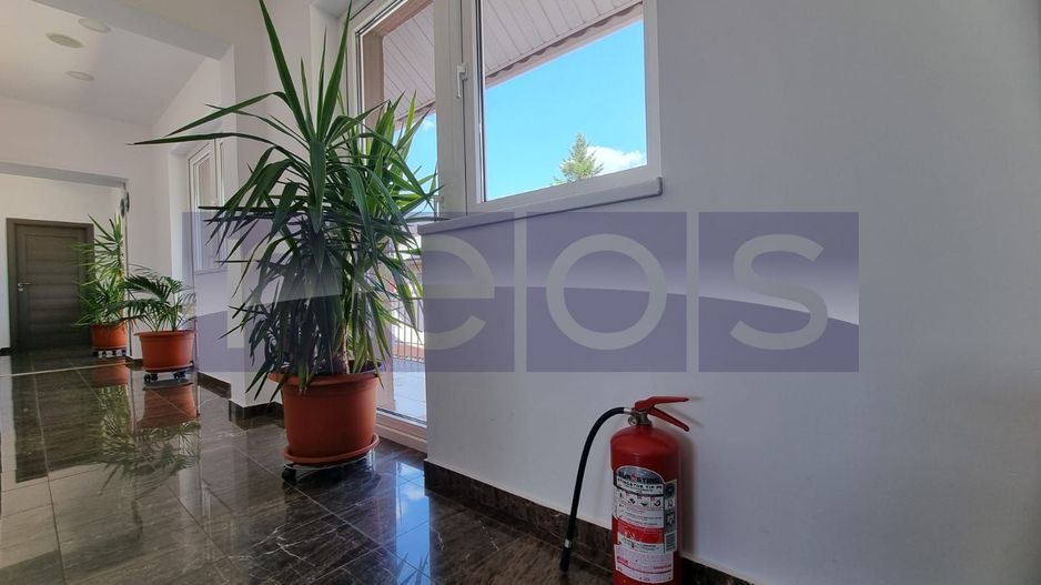 INCHIRIERE SPATIU COMERCIAL-2 VILE | ZONA MOGOSOAIA - Poză 29