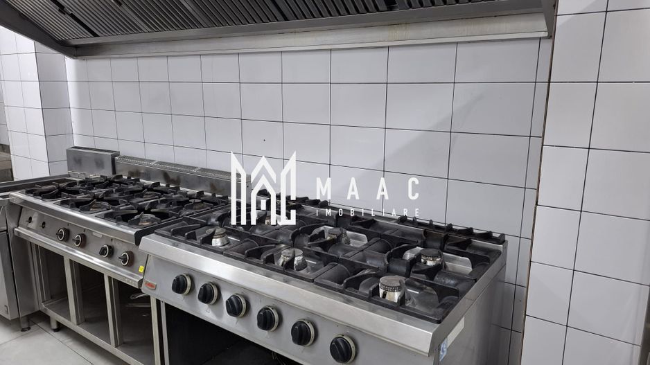Pensiune 12 camere de închiriat | Central, Sibiu | terasă - Poză 19