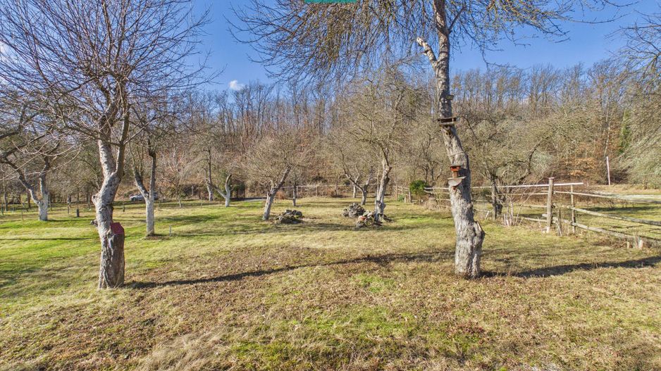 Cabană deosebită cu 4 camere în Căsoaia - Poză 2