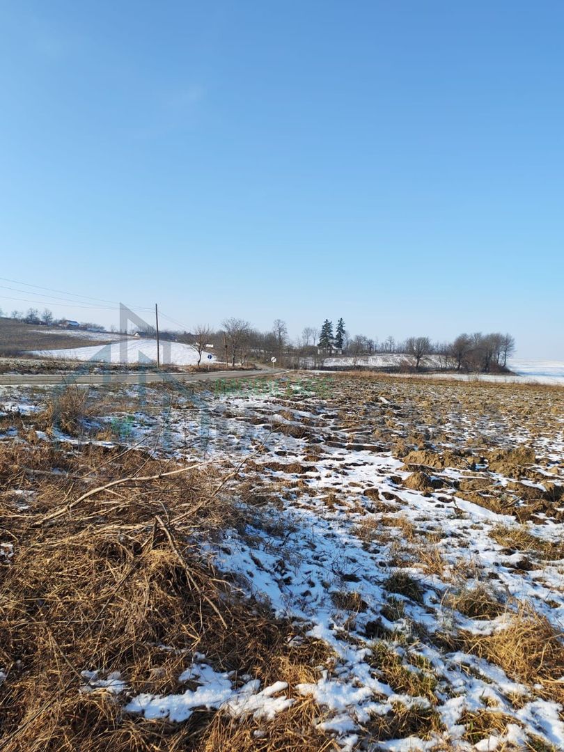 Vand teren intravilan si extravilan. - Poză 8