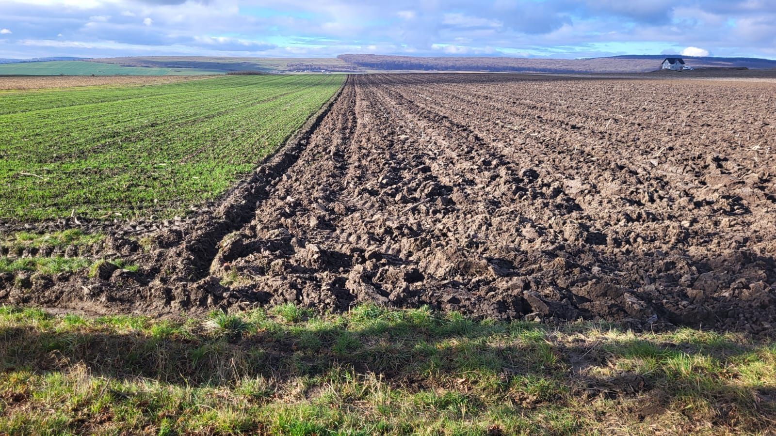 Teren 36 Ari | Mitocu Dragomirnei | 25.500 € - Poză 2