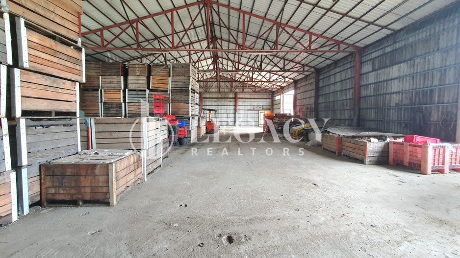 VÂNZARE - HALE DEPOZITARE/PRODUCȚIE/SERVICE AUTO ȘI TEREN - SULIȚA - Poză 7