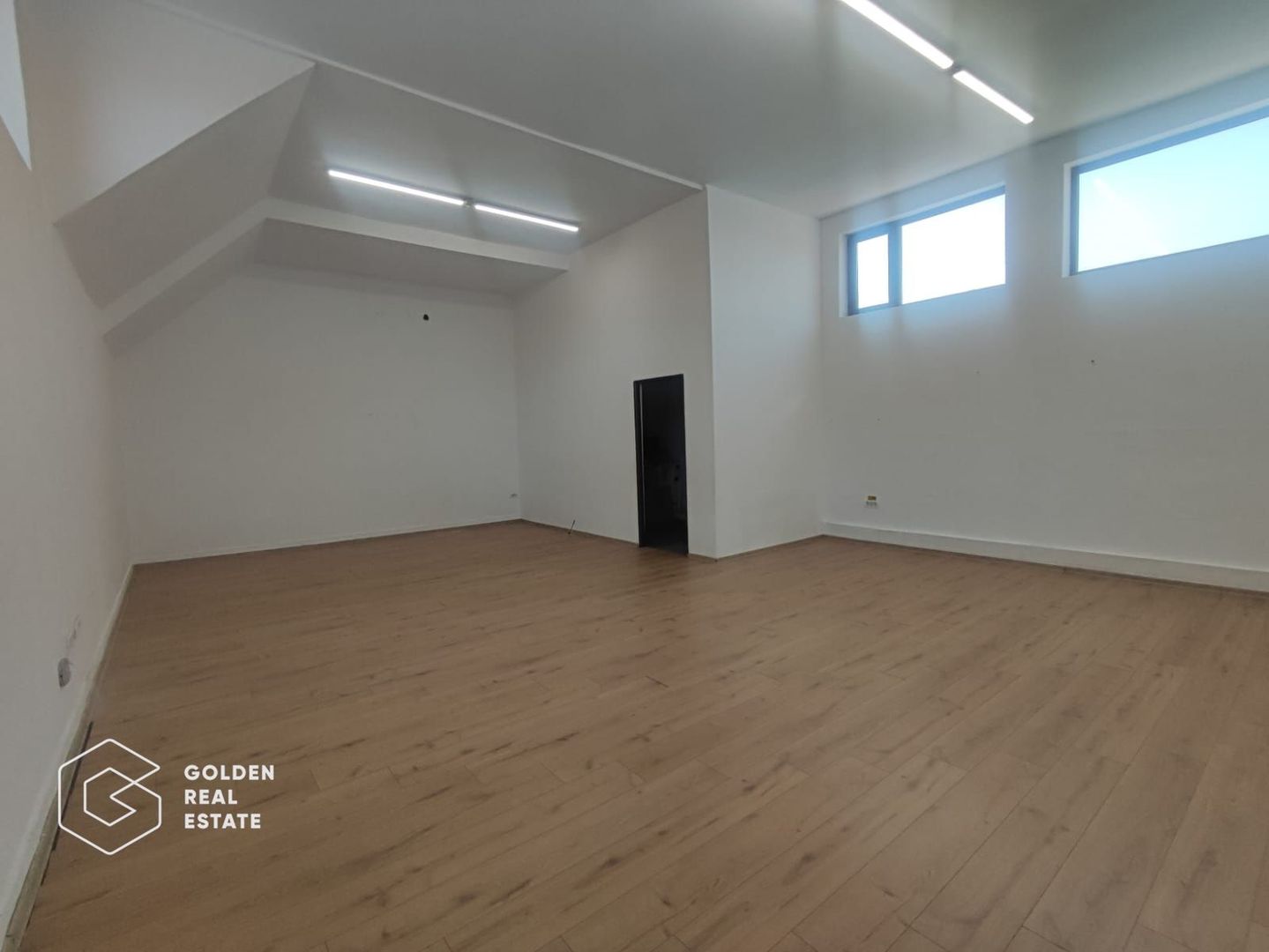 Spatiu de închiriat, 80 mp, etajul 1, Calea Romanilor - Poză 1