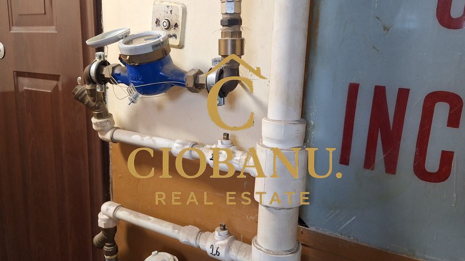 Apartament 3 camere de vanzare zona Gradina Botanica - Poză 8