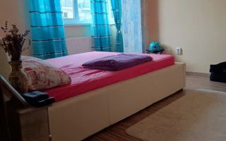 Apartament 2 camere | Balcon | 40 MPU | Doamna Stanca - Poză 7