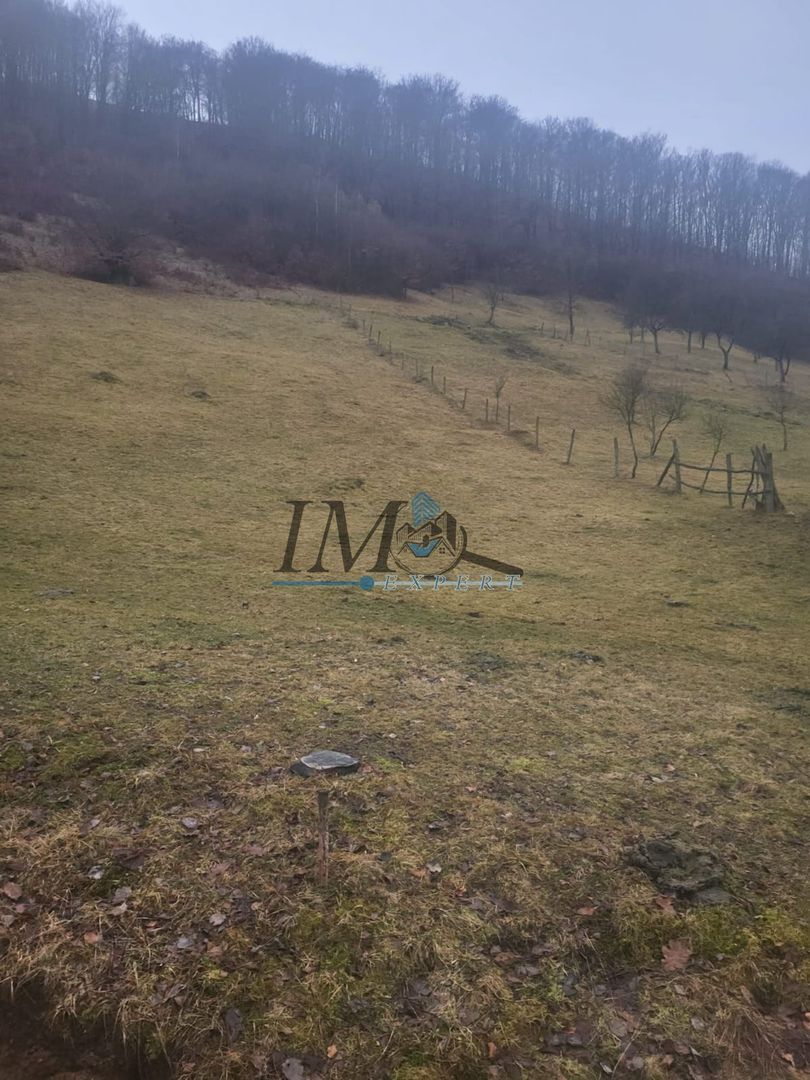 TEREN PENTRU CABANA PE VALEA TONII - Poză 2