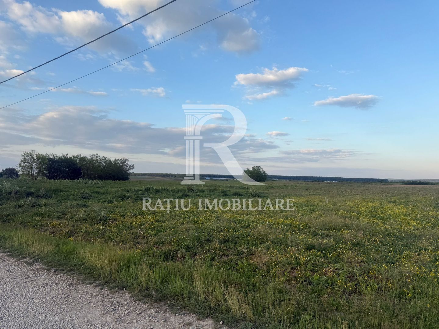 Teren extravilan | Păușa | Bihor - Poză 1