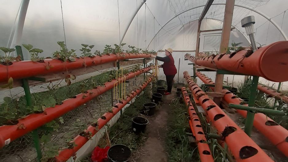 Casa de vanzare cu potential ridicat in Cornatel jud.Sibiu - Poză 5