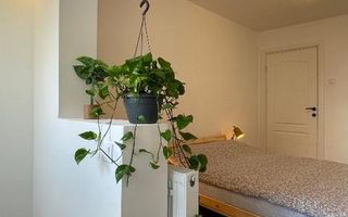 Apartament 3 camere in Tei | Renovat | Vedere la parc si lac - Poză 5