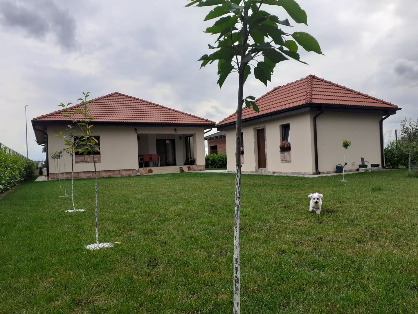 Locuinta individula cu garaj - Poză 2