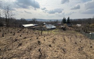 Teren intravilan Dobrovat + Casa Batraneasca - Poză 6