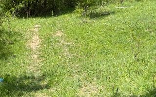 Teren intravilan 2440mp cu autorizație de construire și proiect ! - Poză 17